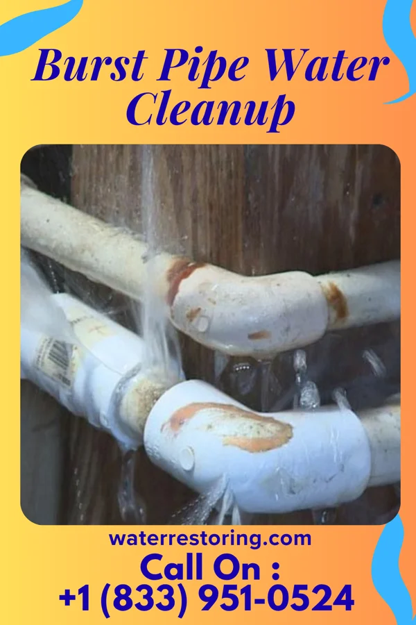 Burst Pipe Water Cleanup in Timblin, PA