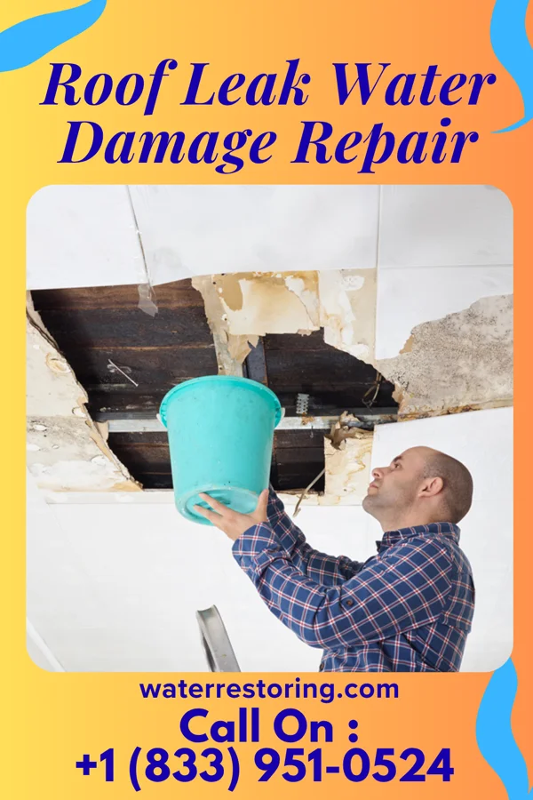 Roof Leak Water Damage Repair in Timblin, PA